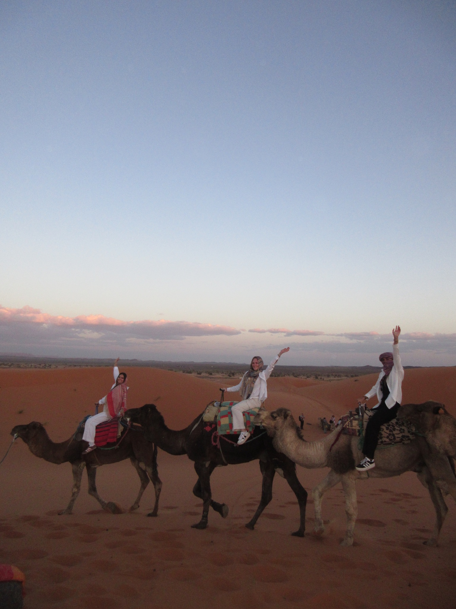 camels