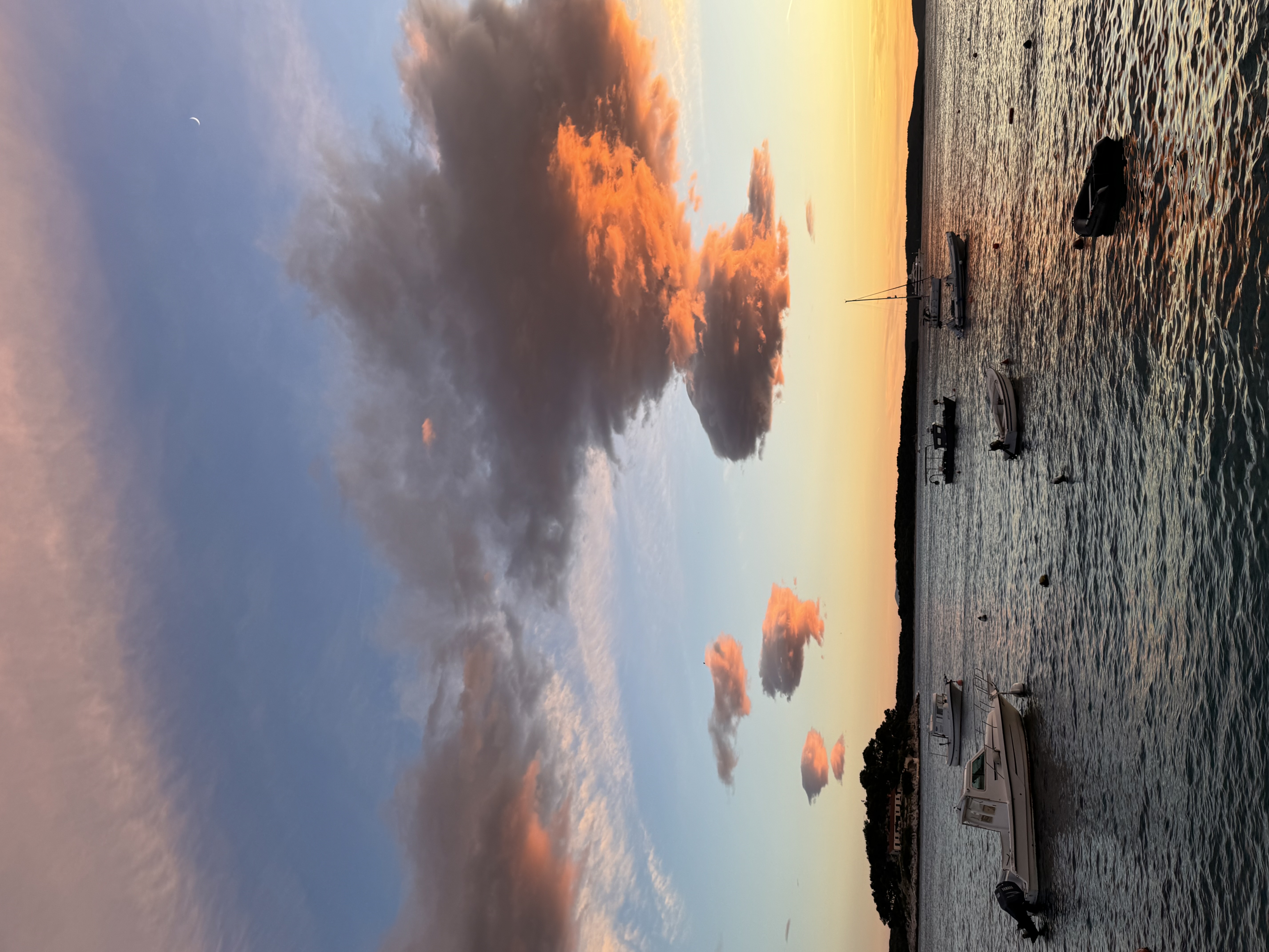 boats