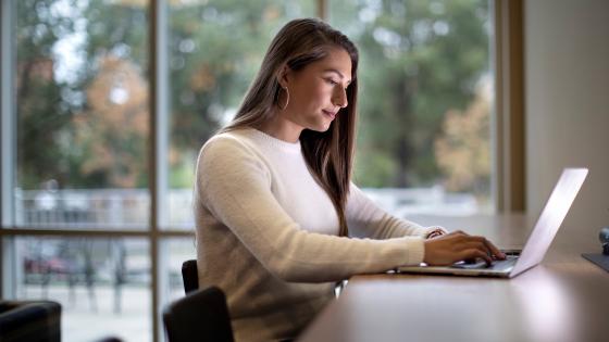 Professional Women looking at Laptop